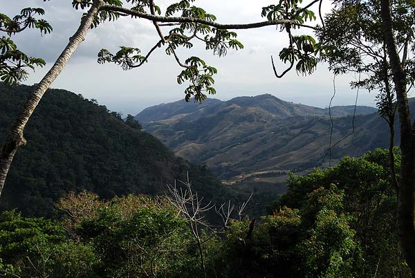 Monteverde-035