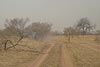 Mali_Stop-Sahel-031