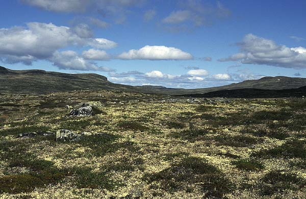 Noorwegen_2004-05