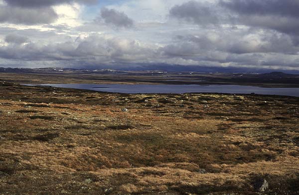 Noorwegen_2004-09