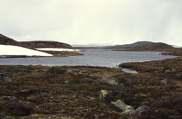 Noorwegen_2004-10